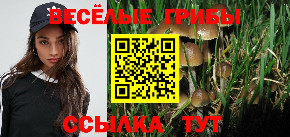 Псилоцибиновые грибы GOLDEN TEACHER Алатырь