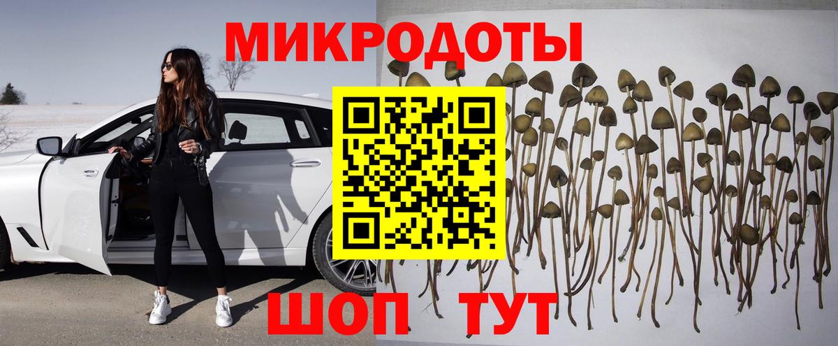Псилоцибиновые грибы GOLDEN TEACHER  Вход с VPN  Алатырь 